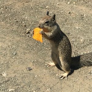 Meet your Posher, Gerron